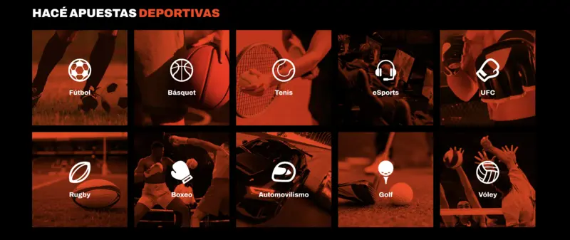 BetWarrior apuestas